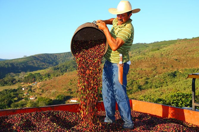 Original Historic Coffee Farm Guided Tour With Transfer - Tour Features