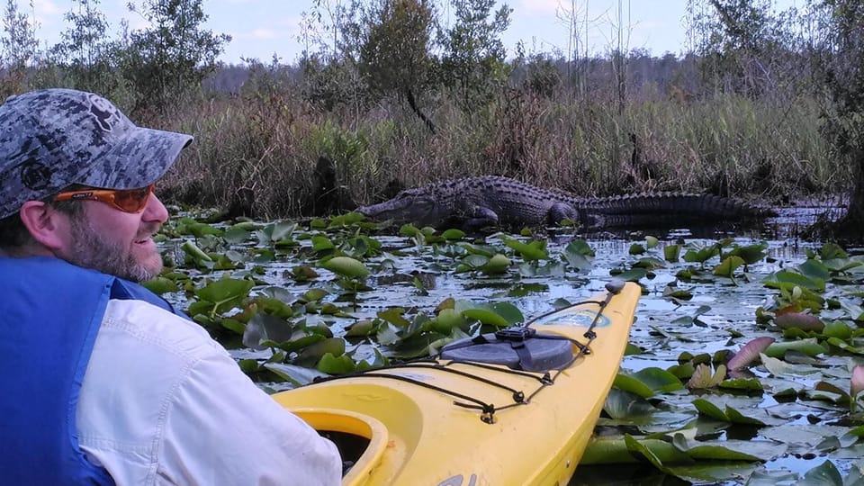 Orlando Alligator Experience: Day-Trip From Orlando - Wildlife and Scenery