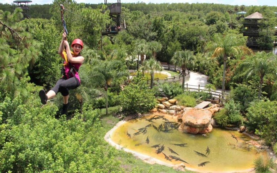 Orlando: Gatorland Zipline Adventure W/ Full-Day Park Access - Zipline Experience Details