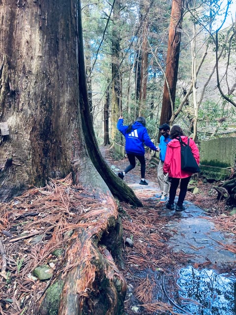 Osaka Izumisano: Mt. Inunaki Trekking and Goma Prayer - Goma Prayer Ritual