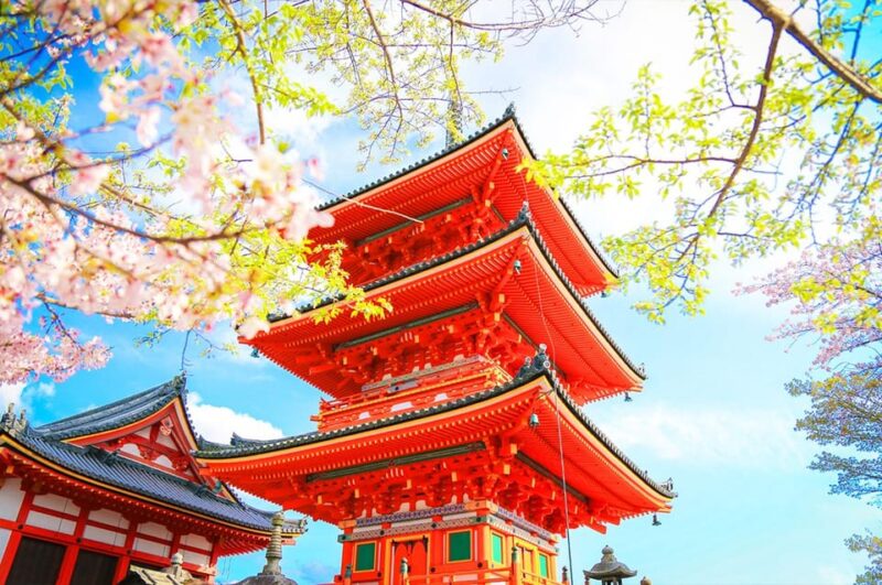 Osaka: Kyoto and Nara UNESCO World Heritage Sites Day Trip - Transportation Details