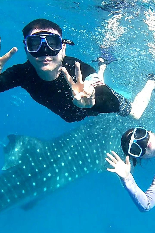 Oslob Private Tour: Whale Shark Watching Experience - Itinerary and Activities