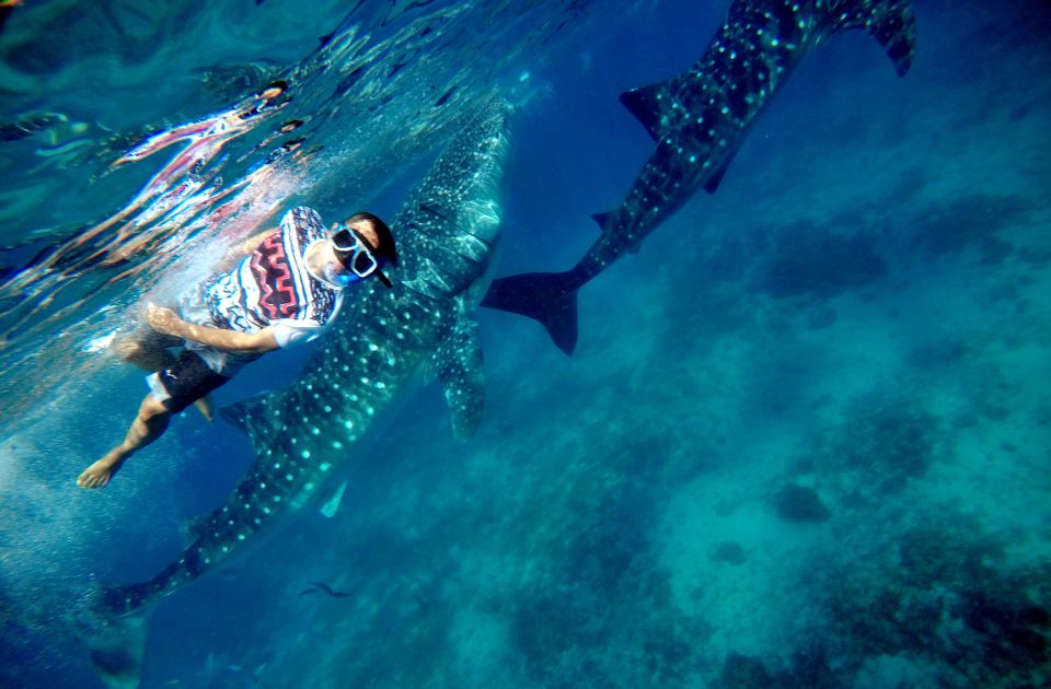 Oslob Whale Shark Encounter With Kawasan Canyoonering - Inclusions