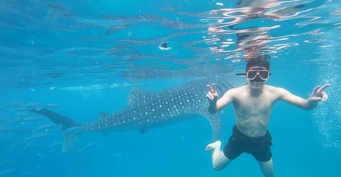 OSLOB WHALE SHARK & KAWASAN CANYONEERING - Booking and Pricing