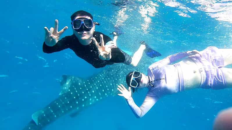 Oslob: Whale Shark Watching Experience - Itinerary Details