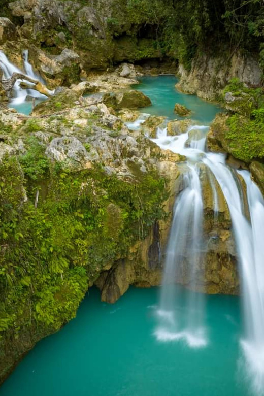 Oslob Whaleshark & Kawasan Falls Tour - Important Information