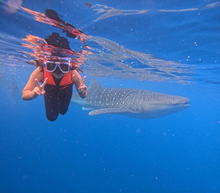 Oslob: Whaleshark Swimming & Sumilon Island Hopping Day Tour - Itinerary and Transportation