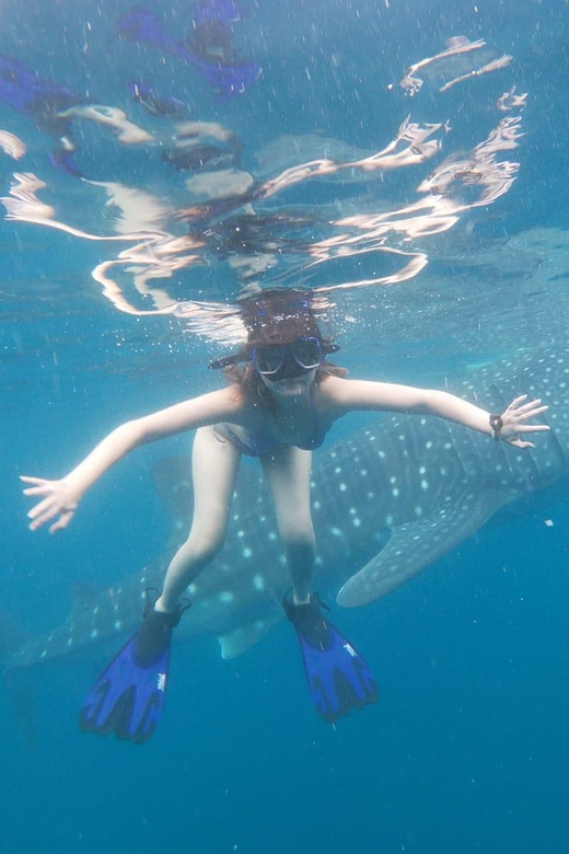 Oslob Whaleshark Watching & Inambakan Falls & Sardines Run - Pricing and Booking