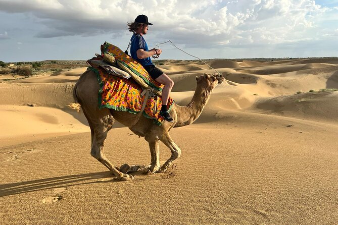 Overnight Camel Safari in Thar Desert - Experience Highlights