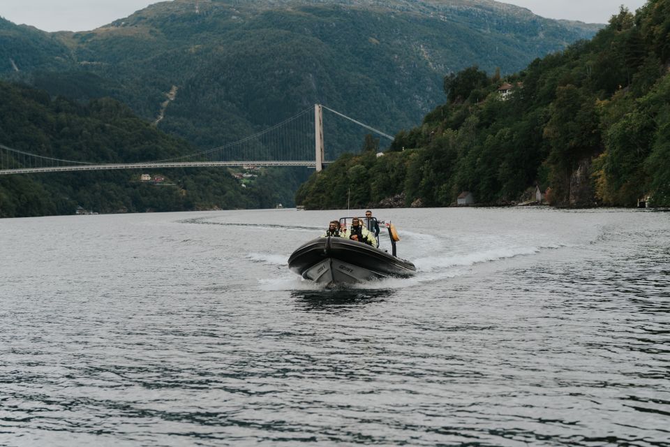 Øystese: Hardangerfjord RIB Safari to the Fyksesund Branch - Experience the Thrill