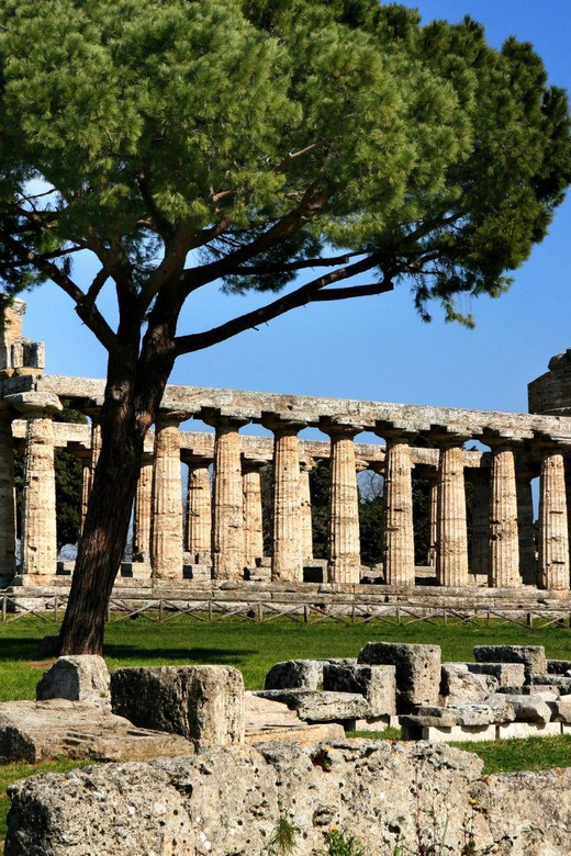 Paestum: Paragliding Over the Temples of the Ancient City - Flight Duration and Pricing