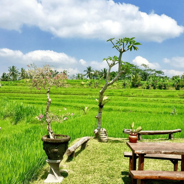 Palawan Inland Experience - Arrival and Welcome