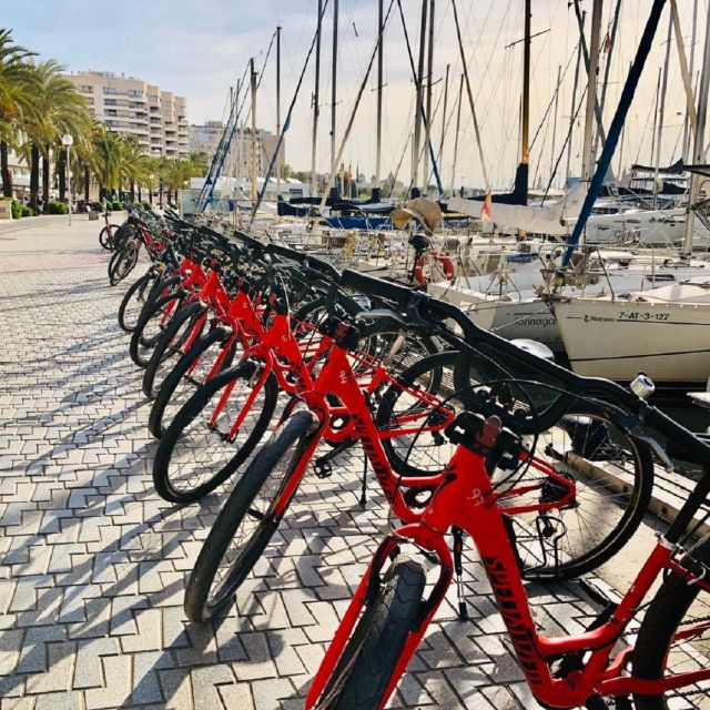 Palma De Mallorca: Guided Bicycle Tour With Tapas & a Drink - Tour Highlights and Itinerary