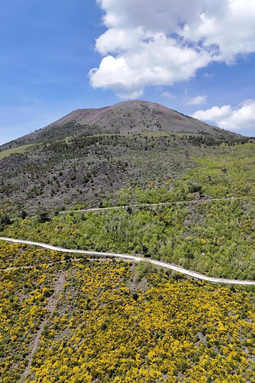 Panoramic Path of Strada Matrone-Vesuvio - E-Bike Experience