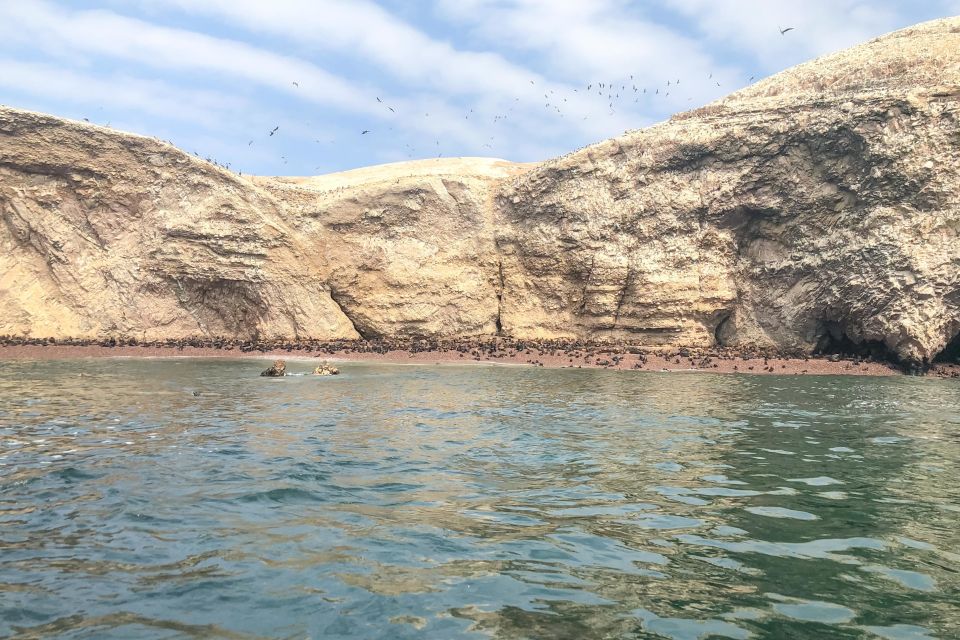 Paracas: Ballestas Islands Morning Boat Tour - Wildlife and Scenic Highlights