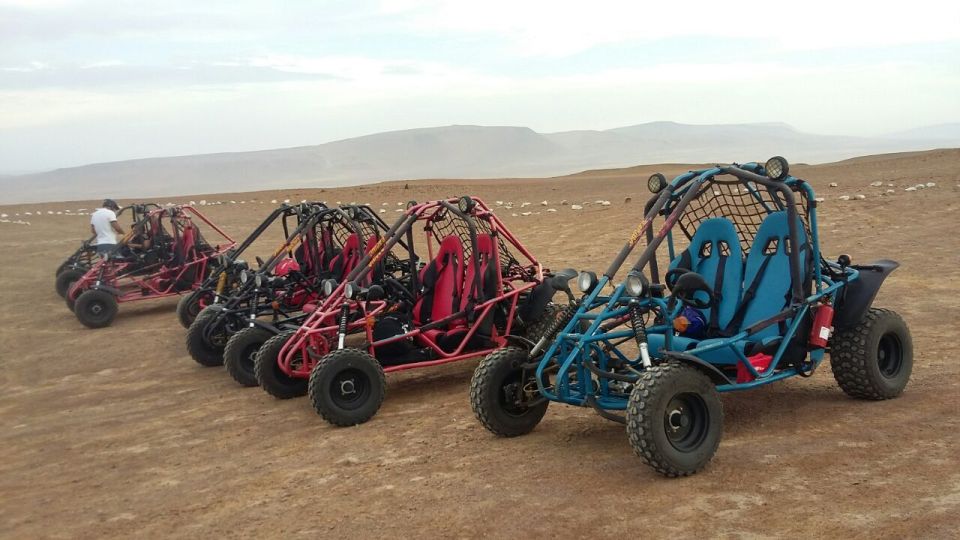 Paracas: Mini Buggy Ride in Paracas National Reserve - Pricing and Booking Details