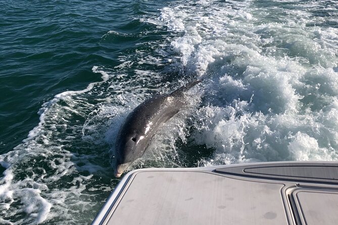 Parasailing Adventure in Anna Maria Island - Meeting Point and Check-In