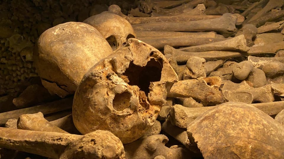 Paris: Small-Group Catacombs Tour With Skip-The-Line Entry - Pricing and Availability