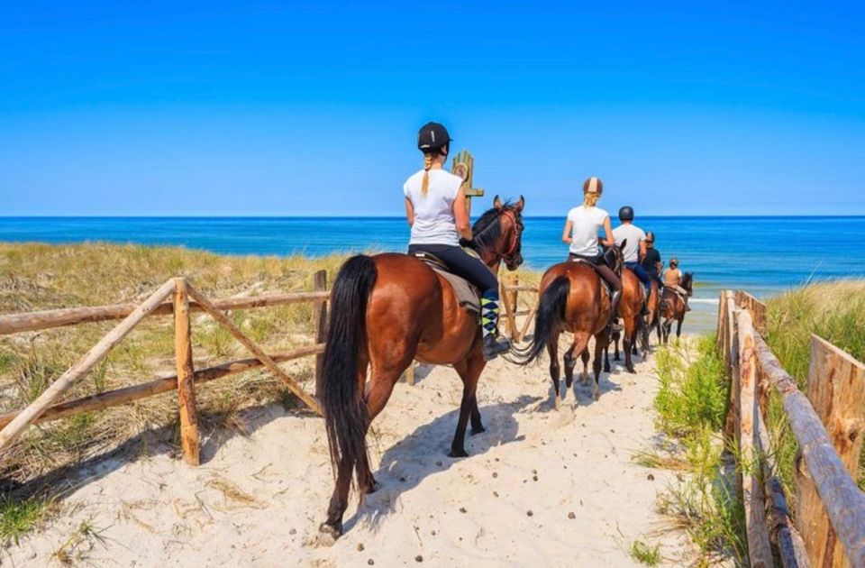 Paros: Island Horseback Riding Adventure - Experience Highlights