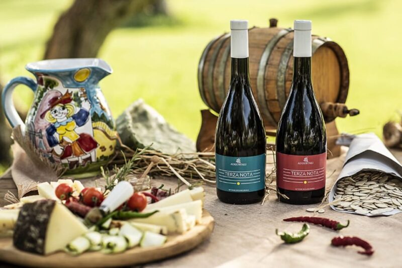 Partinico: Grape Harvest in the Lands of Frederick II of Swabia - Experience Highlights