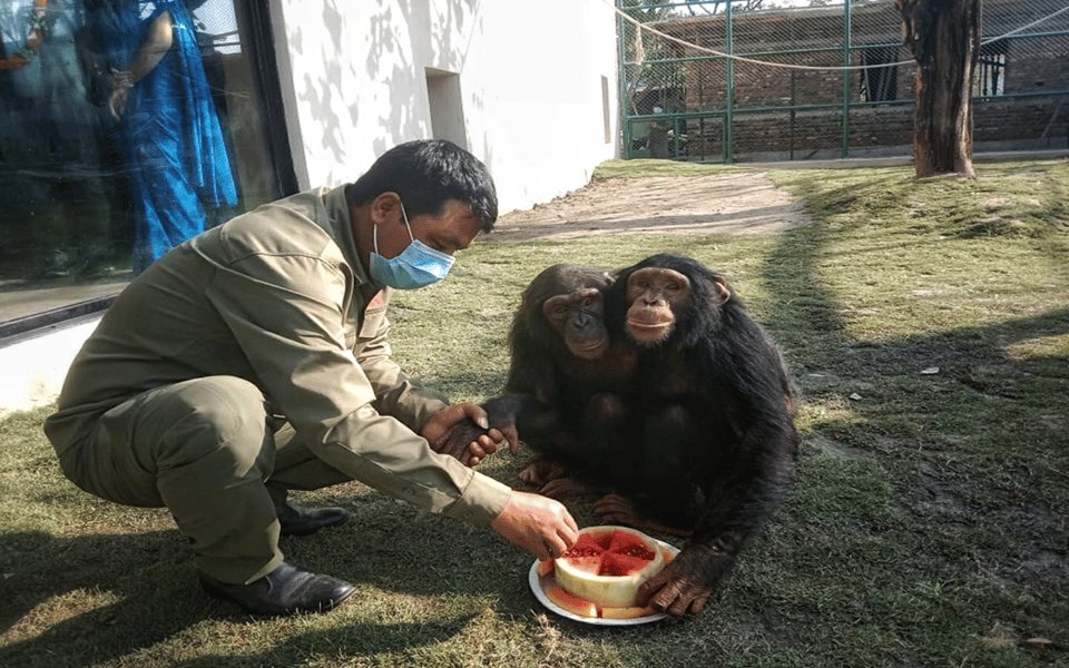 Patan: Patan Durbar, Central Zoo & Godawari Botanical Garden - Discovering Godawari Botanical Garden