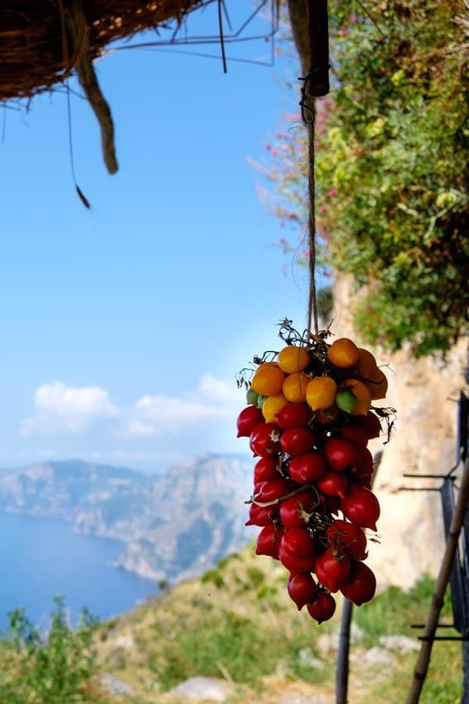 Path of the Gods From Sorrento With a Local Guide - Booking Details