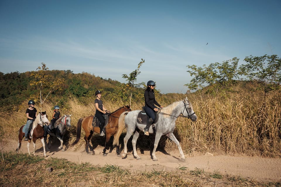 Pattaya, Thailand: Experience Scenic Horse Trail Riding - Experience Highlights