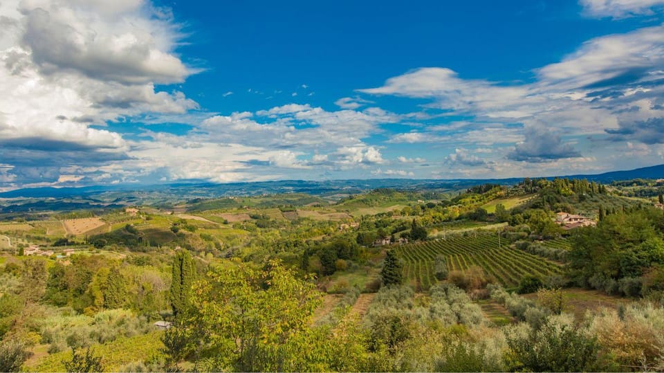 Peccioli Valdera 2 Hour E-Bike Guided Tour + Wine Tasting - Inclusions and Amenities