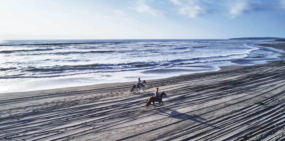 Penguins Watching&HorseRiding&Barbecue Beach&Dunes FromStgo - Horse Riding Adventure