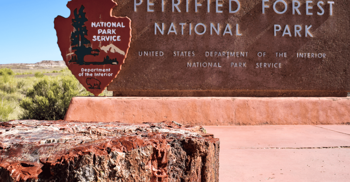 Petrified Forest National Park: Scenic Driving Tour - Tour Features and Highlights