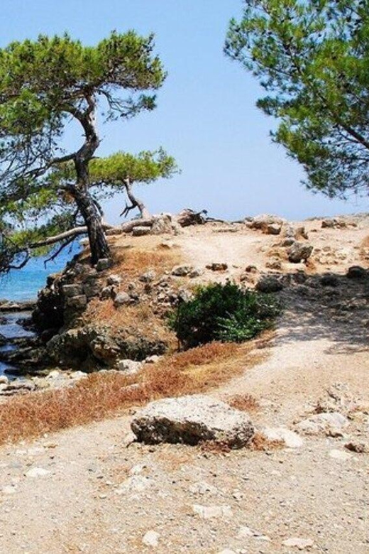 Phaselis - Olympos and Cirali Tour - Itinerary Details