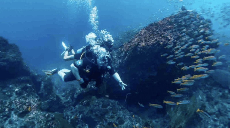 Phi Phi: Scuba Diving With Portuguese Speaking Instructor - Diving Highlights
