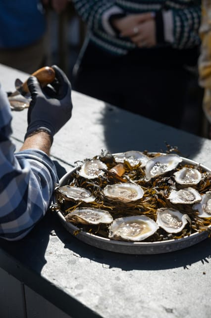 Phippsburg, ME: A Sunset Maine Oyster Tasting by the Coast - Pricing and Reservations