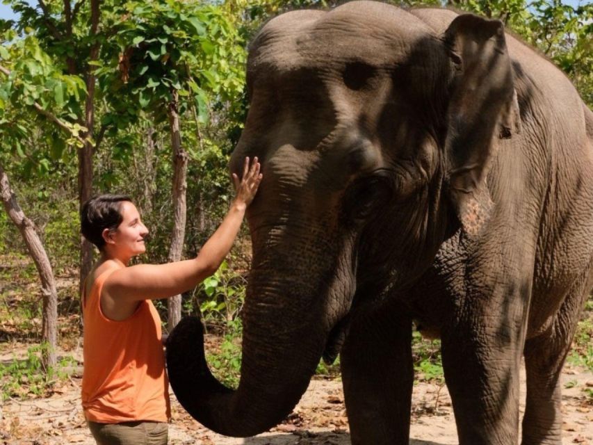 Phnom Tamao Wildlife Center & Buddha Kiri Cambodia Day Tour - Itinerary Highlights