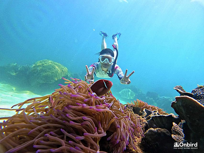 Phu Quoc: Pro Snorkeling to 3 Coral Reefs & Beach (MAX 12) - Itinerary and Activities