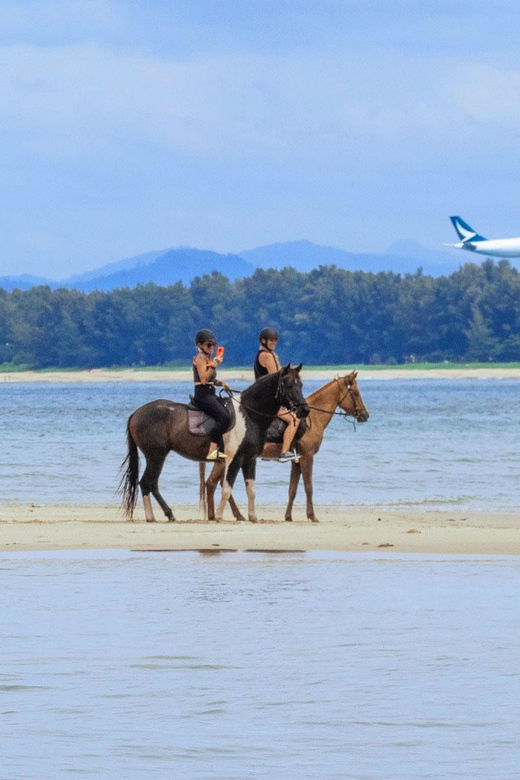 Phuket Beach Horseback Adventure - Riding Experience