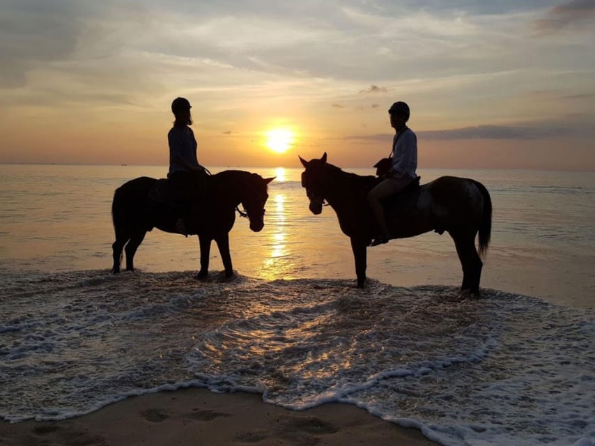 Phuket Sunset Beach Horseback Journey - Experience Highlights