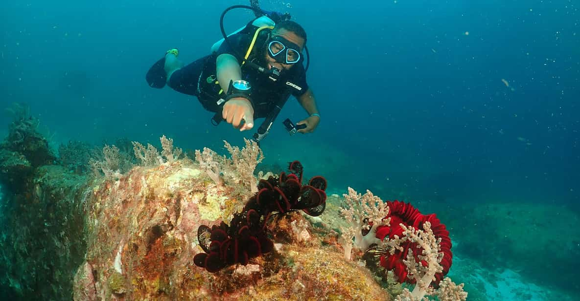 Phuket: Try SCUBA DIVING Full Day Experience 3 Dives - Itinerary and Schedule