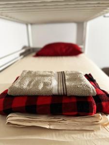 Pineapple Hostel - Accommodation Options