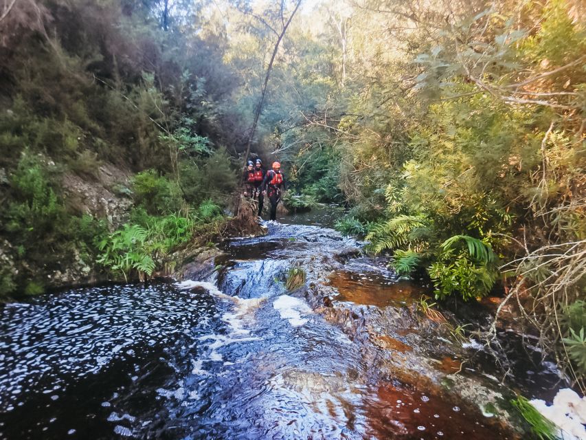 Plettenberg Bay: Canyoning Trip - Experience Highlights