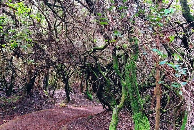 Poas Volcano and La Paz Waterfall Day Tour - Highlights of Poas Volcano