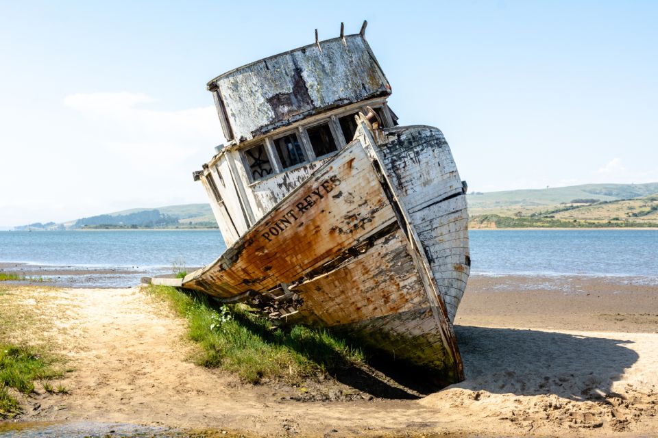 Point Reyes National Seashore Self Guided Driving Tour - Tour Experience