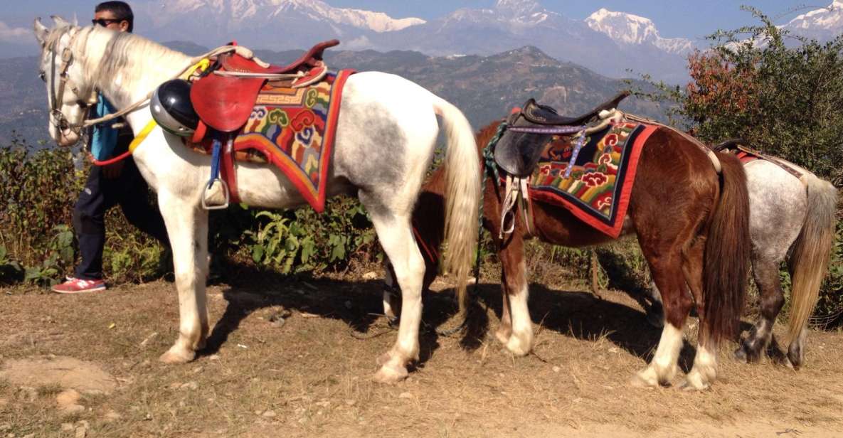 Pokhara: 2.5-Hour Horse-Pony Ride in Nature - Pricing and Booking Details