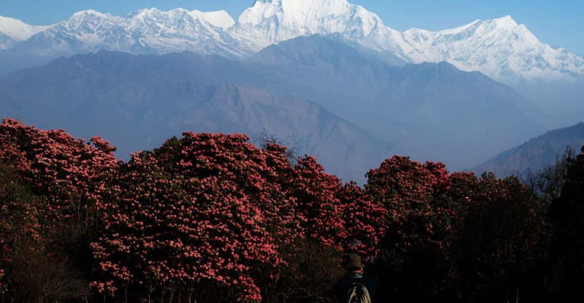 Pokhara: 2-Day Poon Hill Trek With Sunrise Views - Experience Highlights