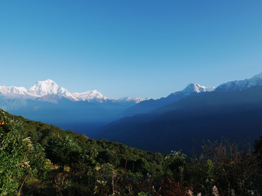 Pokhara: 2-Day Short & Sweet Ghorepani Poon Hill Guided Trek - Detailed Itinerary