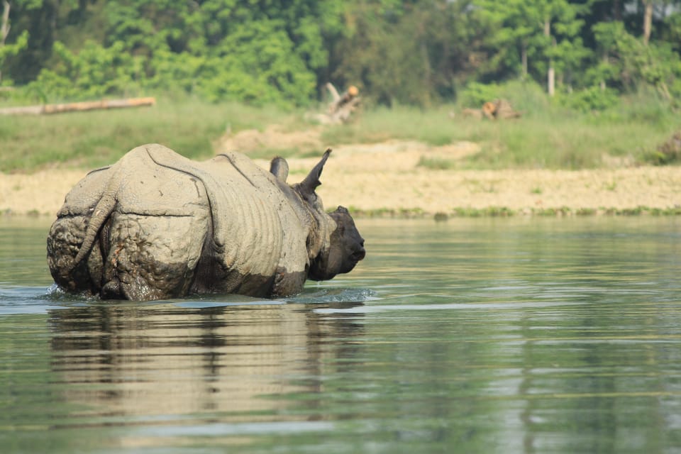 Pokhara : 4 Day Lumbini and Chitwan Safari Tour By Car - Day 1: Journey to Lumbini