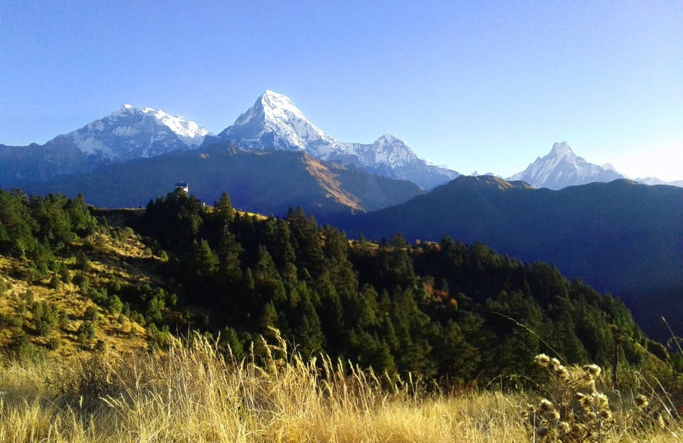 Pokhara: 4 Day Poon Hill Annapurna View Trek - Daily Itinerary