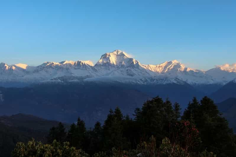 Pokhara: 4-Day Poon Hill Trek With Accommodation - Daily Itinerary