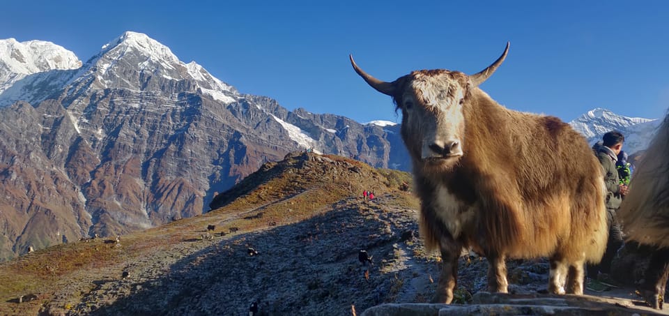 Pokhara: 5-Day Mardi Base Camp Guided Trek With Hot Spring - Detailed Itinerary