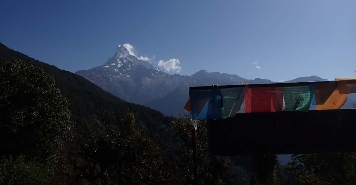 Pokhara: 5-Day Mardi Himal Base Camp Trek With Transfers - Detailed Itinerary